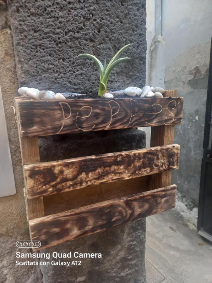 Peppe'S Holiday House Catania Exterior photo